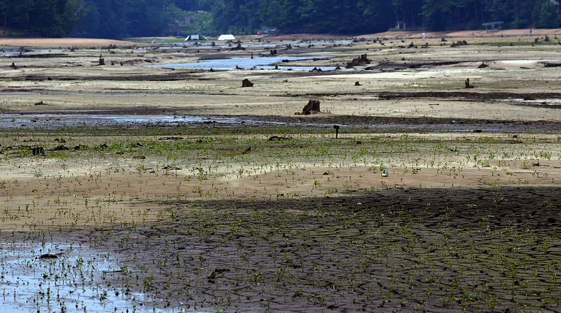 Lake still dry, 2008